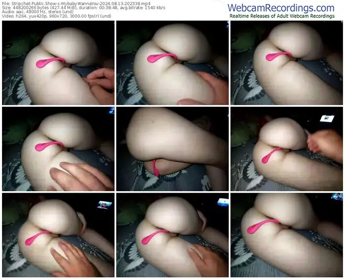 stripchat-mybabywannayou-08-13-2024-20-23-38