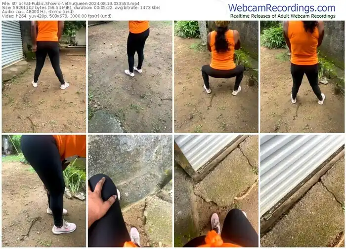 stripchat-nethuqueen-08-13-2024-03-35-53