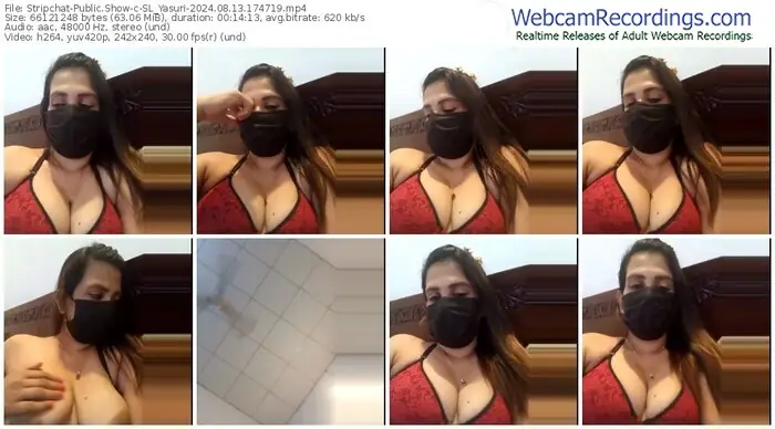 stripchat-sl_yasuri-08-13-2024-17-47-19