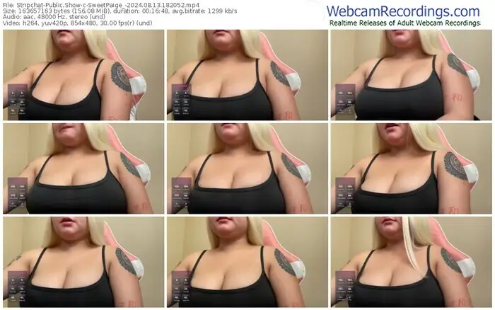 stripchat-sweetpaige_-08-13-2024-18-20-52