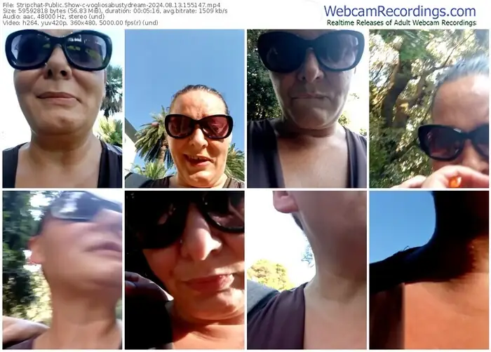 stripchat-vogliosabustydream-08-13-2024-15-51-47