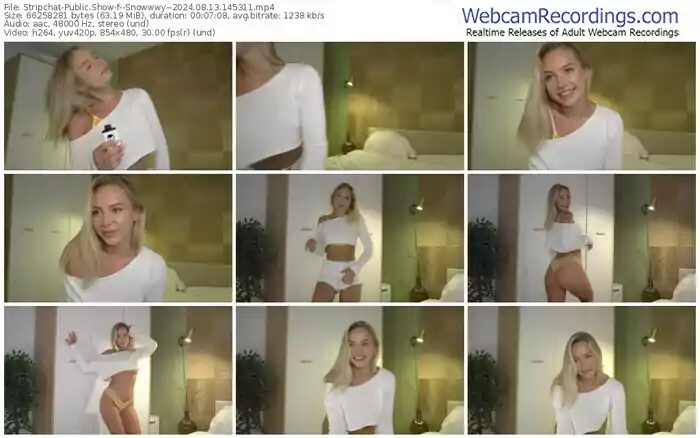 stripchat--snowwwy--08-13-2024-14-53-11