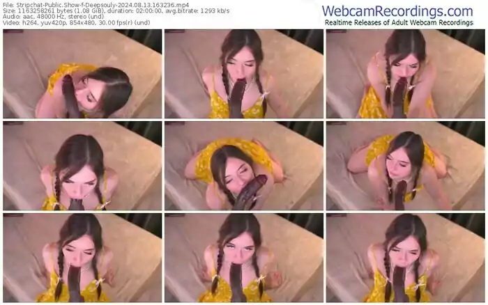 stripchat-deepsouly-08-13-2024-16-32-36