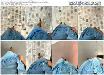 stripchat-felinae-08-13-2024-17-25-14