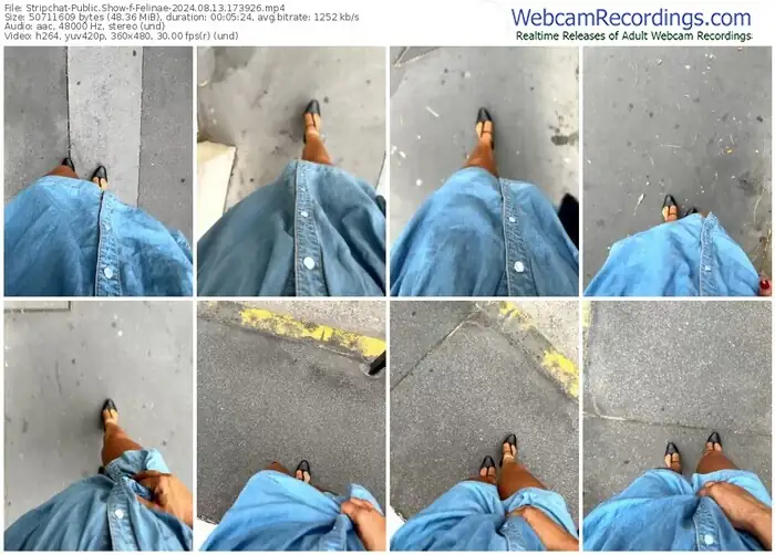 stripchat-felinae-08-13-2024-17-39-26