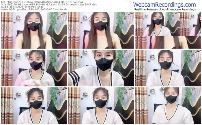 stripchat-karin-baongoc-08-13-2024-15-15-49