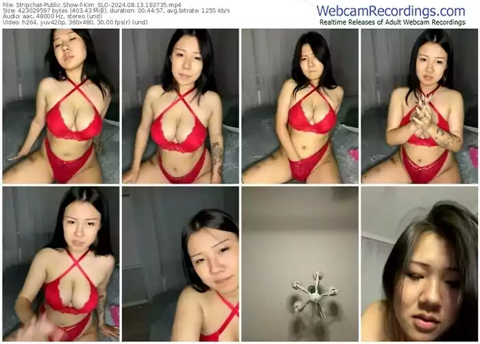 stripchat-kim_slo-08-13-2024-19-37-35