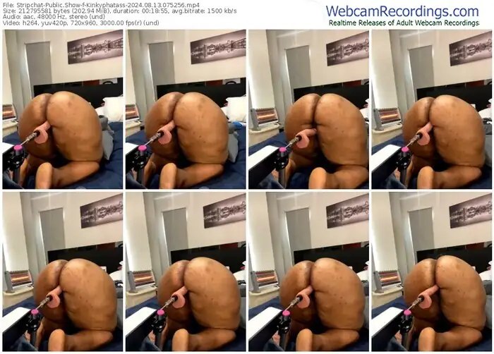 stripchat-kinkyphatass-08-13-2024-07-52-56