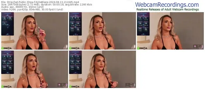 stripchat-kylieblaze-08-13-2024-21-18-45