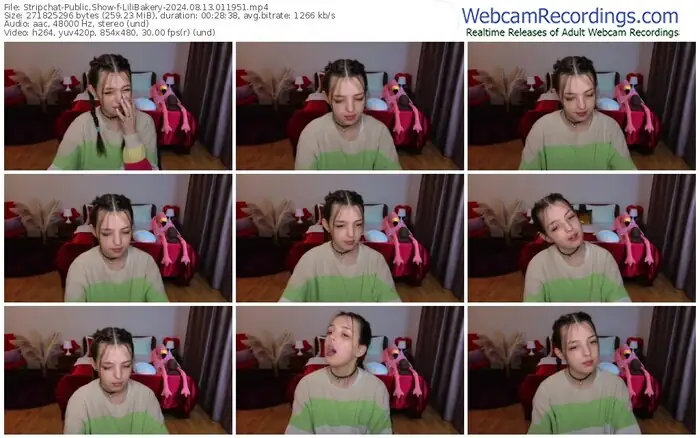 stripchat-lilibakery-08-13-2024-01-19-51