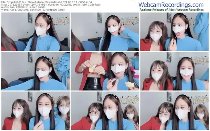 stripchat-mono-stewardesss-08-13-2024-11-37-50