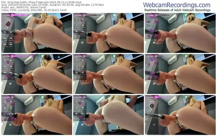 stripchat-natca20-08-13-2024-11-30-45