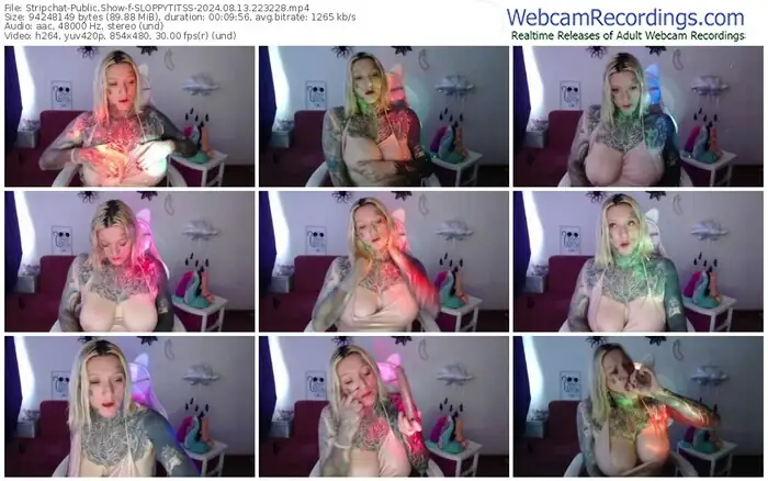 stripchat-sloppytitss-08-13-2024-22-32-28