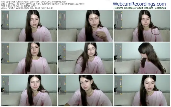 stripchat-saymeow_-08-13-2024-00-19-01