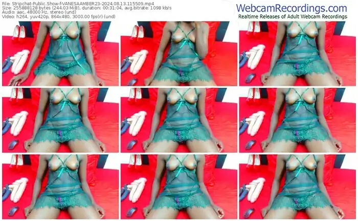 stripchat-vanesaamber23-08-13-2024-11-55-09