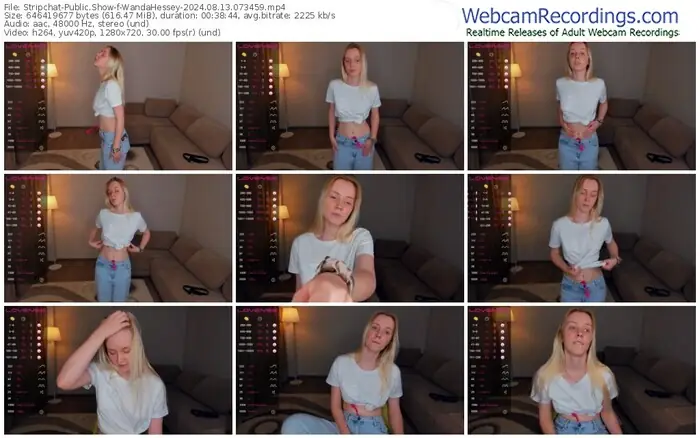 stripchat-wandahessey-08-13-2024-07-34-59
