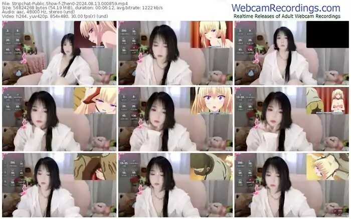 stripchat-zhen0-08-13-2024-00-08-59