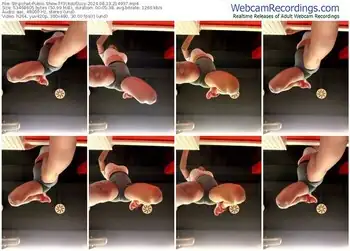 stripchat-f3ckdolllucy-08-13-2024-21-49-37