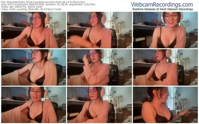 stripchat-jouleslovescocks-08-13-2024-21-03-19