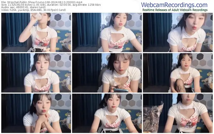 stripchat-ruirui-166-08-13-2024-23-00-21