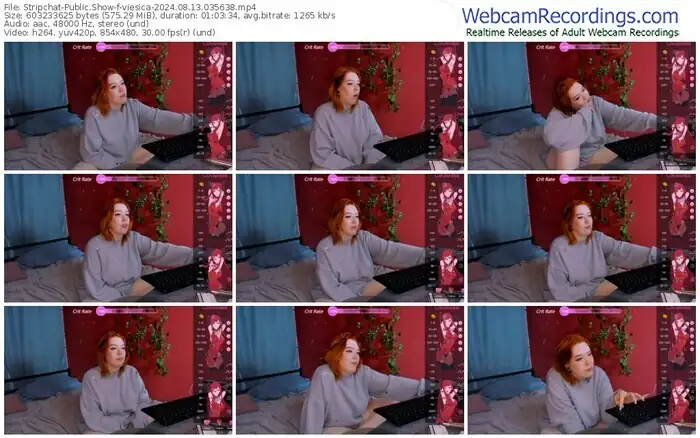 stripchat-viesica-08-13-2024-03-56-38