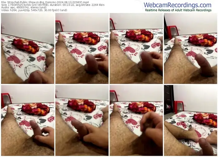 stripchat-big_dominic-08-13-2024-01-58-37