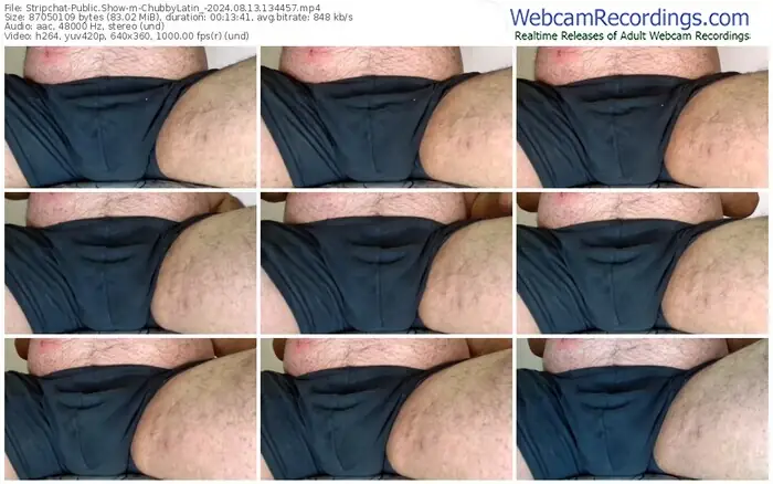 stripchat-chubbylatin_-08-13-2024-13-44-57