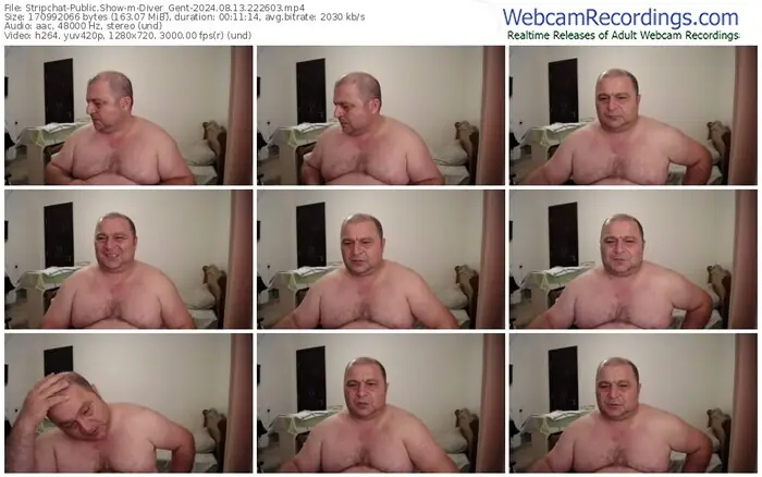 stripchat-diver_gent-08-13-2024-22-26-03