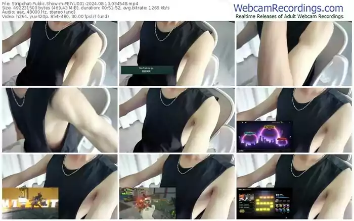 stripchat-feiyu001-08-13-2024-03-45-48