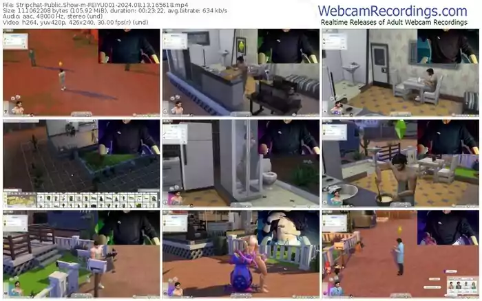 stripchat-feiyu001-08-13-2024-16-56-18