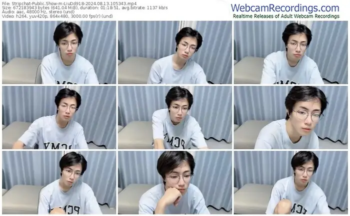 stripchat-liudd918-08-13-2024-10-53-43