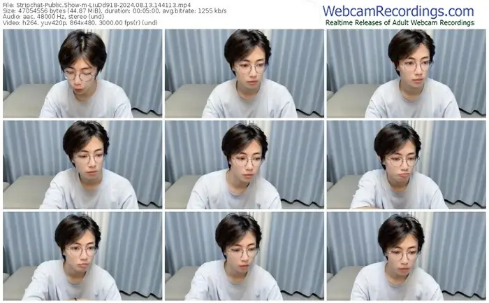 stripchat-liudd918-08-13-2024-14-41-13