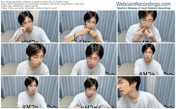 stripchat-liudd918-08-13-2024-15-45-53