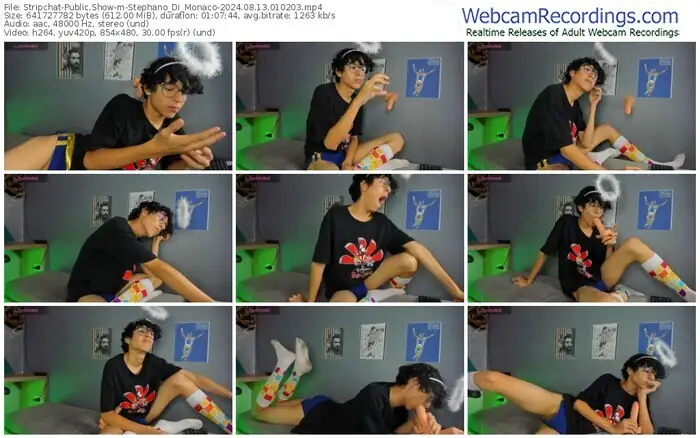 stripchat-stephano_di_monaco-08-13-2024-01-02-03