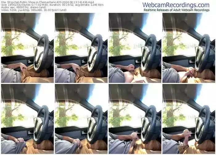 stripchat-themechanic420-08-13-2024-14-14-36