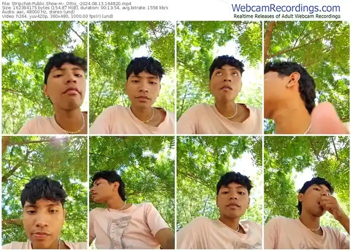 stripchat-_ottis_-08-13-2024-16-48-20