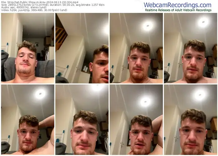 stripchat-krov-08-13-2024-23-13-24