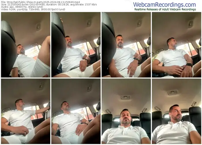 stripchat-party2025-08-13-2024-15-06-46