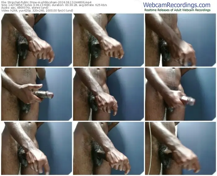 stripchat-phbbcsham-08-13-2024-04-48-06