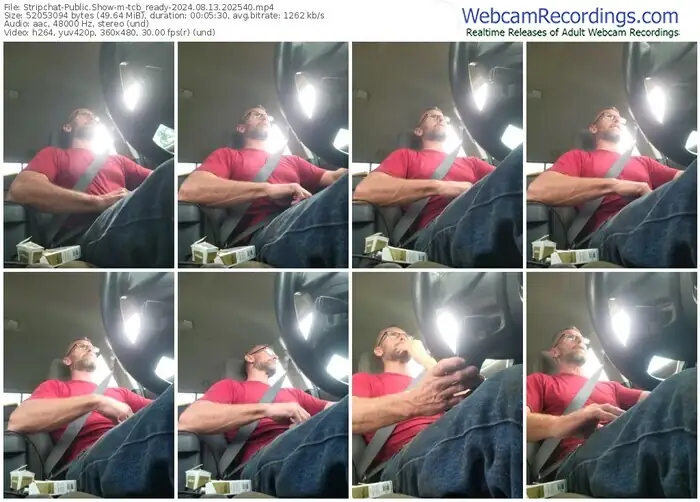 stripchat-tcb_ready-08-13-2024-20-25-40