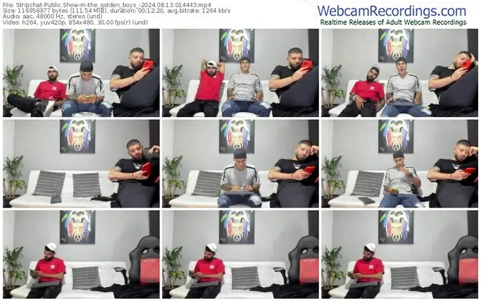 stripchat-the_golden_boys_-08-13-2024-01-44-43