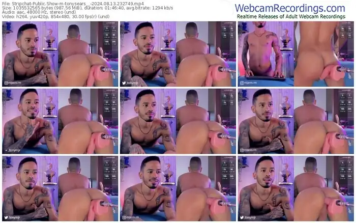 stripchat-tonysears__-08-13-2024-23-27-49