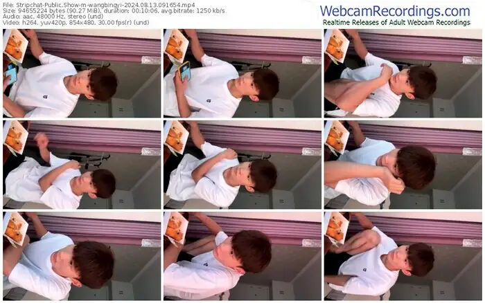 stripchat-wangbingyi-08-13-2024-09-16-54