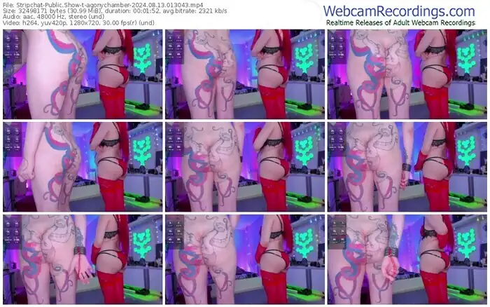 stripchat-agonychamber-08-13-2024-01-30-43