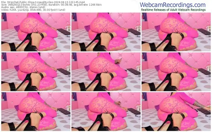 stripchat-naughtycleo-08-13-2024-10-11-45