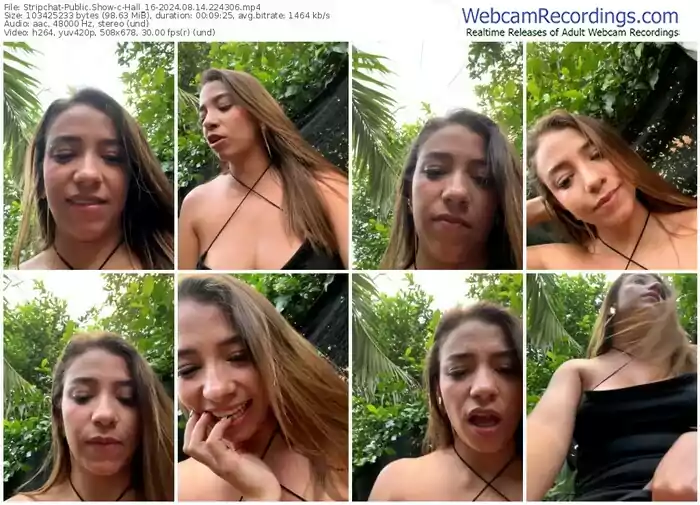 stripchat-hall_16-08-14-2024-22-43-06