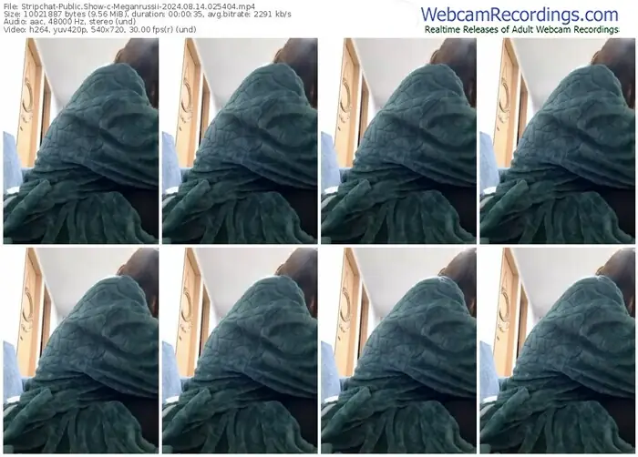 stripchat-meganrussii-08-14-2024-02-54-04