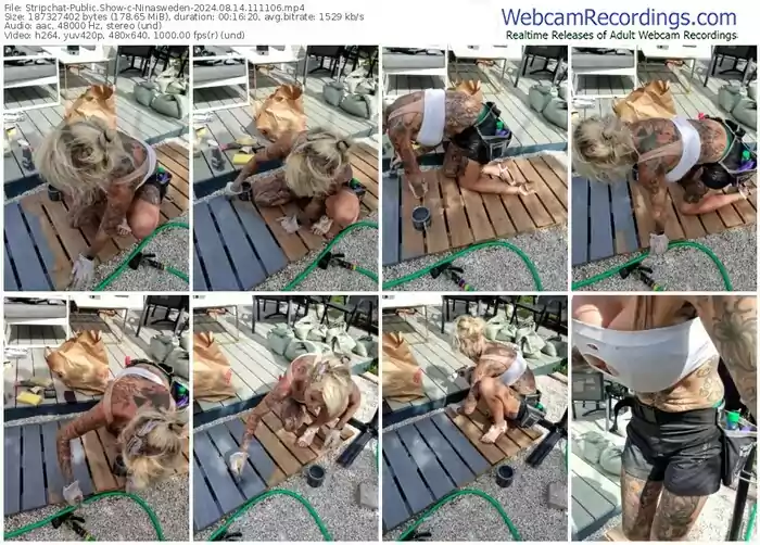 stripchat-ninasweden-08-14-2024-11-11-06