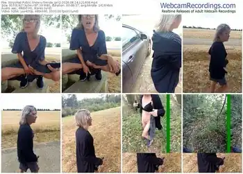 stripchat-timide_girl2-08-14-2024-12-14-08