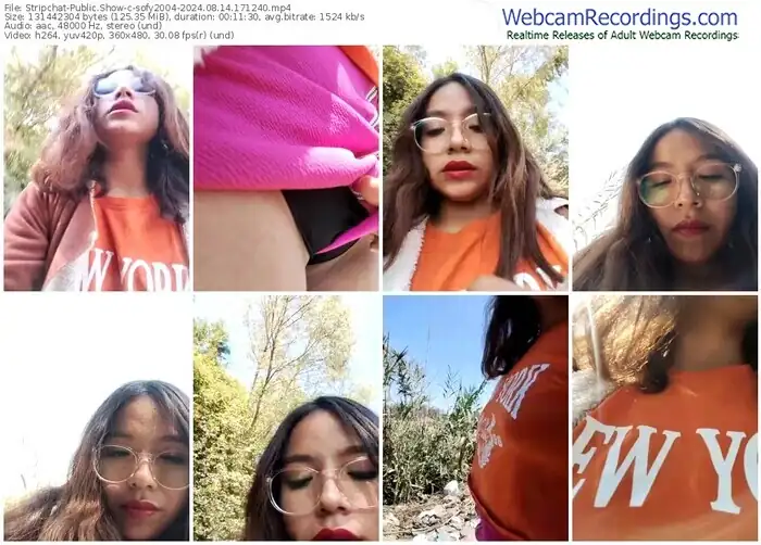 stripchat-sofy2004-08-14-2024-17-12-40